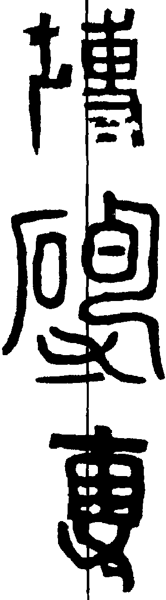 专